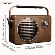 LuguLake R9 Handheld Multi-Function Bluetooth Speaker PA System With Power Bass, FM Radio, Mic Input