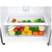 LG Top Freezer Refrigerator 630 Litres GR-H832HLHL Smart Inverter Compressor LINEARCooling Hygiene FRESH⁺ Fresh 0 Zone Multi Air Flow