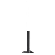 LG OLED65BXPVA.AMAG 4K OLED Smart Television 65inch (2020 Model)