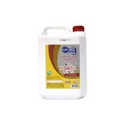 Euro Wash Floral Freshness Hand Wash Liquid Soap 5 Liters