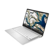 HP (2019) Laptop - 10th Gen / Intel Core i3-1005G1 / 14inch FHD / 256GB SSD / 8GB RAM / Silver - [14-DQ1077WM]