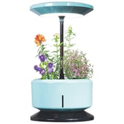Merlin Desk Garden Harvest ASST