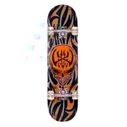 WINMAX MULTICOLOR SKATE BOARD
