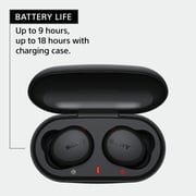 Sony EXTRA BASS True Wireless Earbuds Headset/Headphones with Mic for Phone Call Bluetooth Technology - Black (WF-XB700)