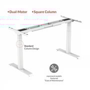 Mahmayi Lift-12 Electronic Height Adjustable Modern Desk - Elegant and Modern Ergonomic Office Desk with Adjustable Height Feature and Heavy Duty Frame (120cm, Apple Cherry)