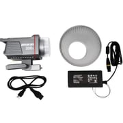 Amaran 200x Bi-Color LED Light