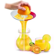Moulinex Citrus Juicer PC300B27