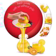Moulinex Citrus Juicer PC300B27