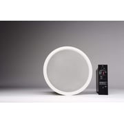 Genelec AIC25 Two-Way Active In-Ceiling Loudspeaker System