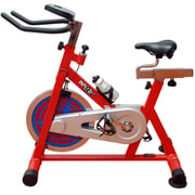 Sparnod Fitness SSB-21/WNQ-318M1 Spin Bike Exercise Cycle for Home Gym (Free Installation Service) - with 21kg Solid Crome Flywheel - Heavy Duty Indoor Stationary Cycling Trainer Machine