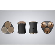 Sony Premium Wireless Home Speaker Black