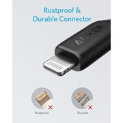 Anker Powerline III USB Type-C to Lightning Cable 1.8m Black