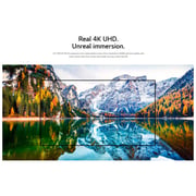 LG UHD 65 Inch UP81 Series Cinema Screen Design 4K Active HDR webOS Smart with ThinQ AI (2021 Model)