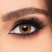 FreshLook Colorblends Honey- 2 lenses