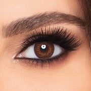 FreshLook Colorblends Brown - 2 lenses