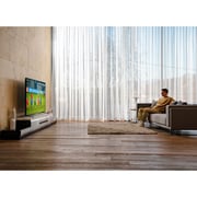 LG 75NANO85VPA 4K UHD,Cinema Screen Design HDR webOS Smart with ThinQ AI Local Dimming Smart Television 75inch (2021 Model)