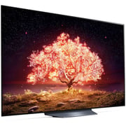 LG OLED65B1PVA 4K Smart OLED Television 65inch (2021 Model)