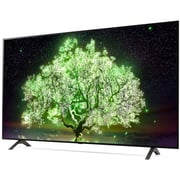 LG OLED65A1PVA 4K Smart OLED Television 65inch (2021 Model)