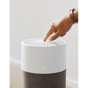 Blueair Air Purifier BLUE3410