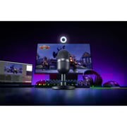 Razer Seisren Mini Microphone Black