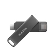 Sandisk USB Flash Drive USB3.1 256GB Grey SDIX70N-256G-GN6NE