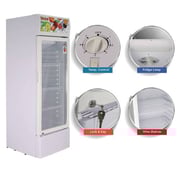 Nobel Showcase Chiller 250 Litres NSF245