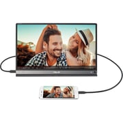 Asus MB16AP FHD LED Monitor 15.6inch