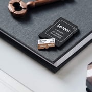 Lexar Professional 667X Micro SDXC UHS-I Card 256GB Bronze LSDMI256GB667A