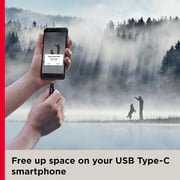 Sandisk Ultra Dual Drive Go USB3.1 Type-C Flash Drive 64GB Black SDDDC3064GG46