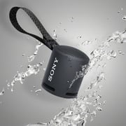 Sony Extra Bass Portable Wireless Speaker Black
