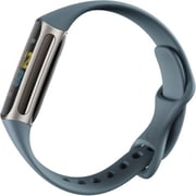Fitbit FB421SRBU Charge 5 Fitness Tracker Steel Blue/Platinum Stainless Steel