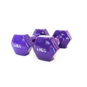 Vinyl Dumbbell - 6kg