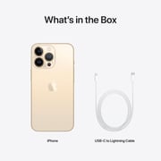 Apple iPhone 13 Pro (1TB) - Gold