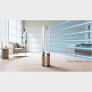 Dyson Purifier Cool Formaldehyde Nickel/Gold - TP09 - International Version