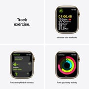 Apple Watch Series 7 GPS + Cellular, 41mm Gold Stainless Steel Case with Gold Milanese Loop - Middle East Version