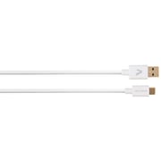 Avinity Usb-c Cable, Usb 3.1 Gen 2, Usb-c Plug Usb-a Plug, 10 Gbit/s, 1.00m