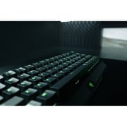 Razer Blackwidow V3 Mini Gaming Keyboard Black