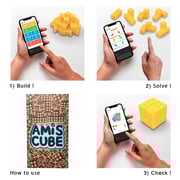 Amiscube Puzzle Brain Teaser 3D 3x3x3 Cube