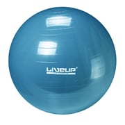 Liveup Gym Ball Ls3221-65