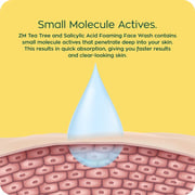 Zayn & Myza Tea Tree and Salicylic Acid Foaming Face Wash for Women