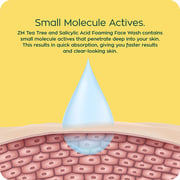 Zayn & Myza Tea Tree and Salicylic Acid Foaming Face Wash for Men