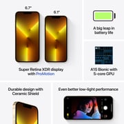 Apple iPhone 13 Pro Max (256GB) - Gold