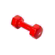 Bjm Weight Dumbbells 4kg