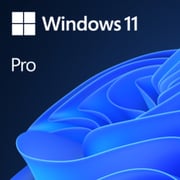 Microsoft Windows 11 Professional 64-bit