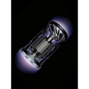 Dyson V15 Detect Animal Cordless Vacuum Cleaner - Silver - Middle East Version