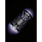 Dyson V15 Detect Animal Cordless Vacuum Cleaner - Silver