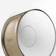 Devialet Phantom I 108 Db Wireless Speaker (gold Leaf, Opra De Paris Edition)