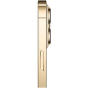 Apple iPhone 13 Pro Max (256GB) - Gold