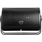 Definitive Technology Aw 5500 Outdoor Speakers (pair Black) Bundle