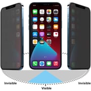 Zolo Anti-spy Anti-fingerprint Matt Privacy 9d Tempered Glass Screen Protector For Apple Iphone 13 Black